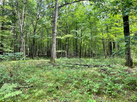 Tiny photo for 80 Ac County Road G, Hancock, WI 54943 (MLS # 2007571)