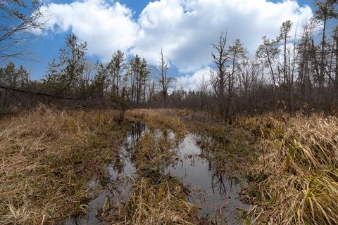 Tiny photo for 1035 Beaver Avenue, Nekoosa, WI 54457 (MLS # 1990031)