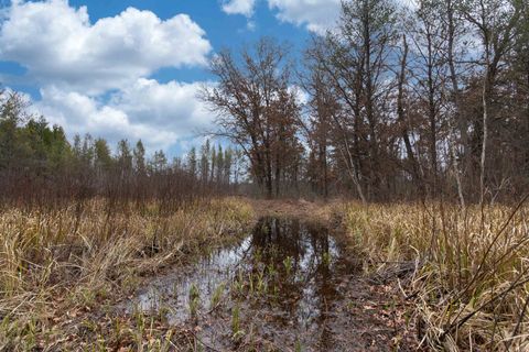 Tiny photo for 1035 Beaver Avenue, Nekoosa, WI 54457 (MLS # 1990031)