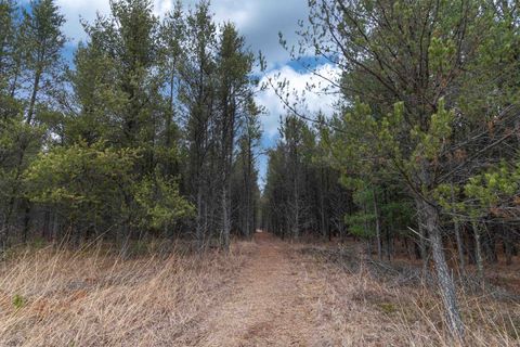 Tiny photo for 1035 Beaver Avenue, Nekoosa, WI 54457 (MLS # 1990031)