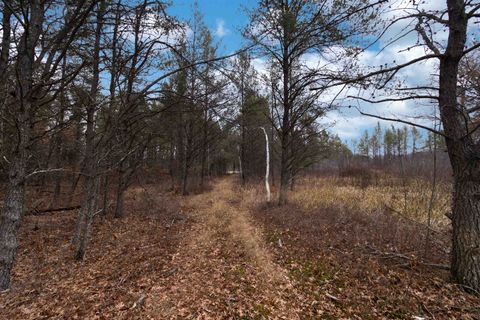Tiny photo for 1035 Beaver Avenue, Nekoosa, WI 54457 (MLS # 1990031)