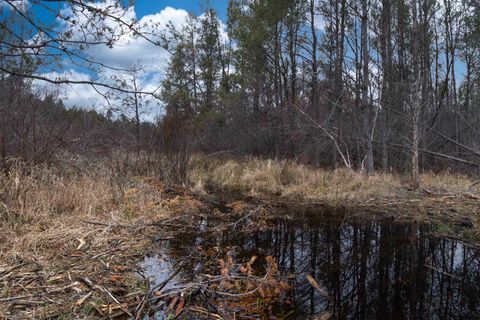 Tiny photo for 1035 Beaver Avenue, Nekoosa, WI 54457 (MLS # 1990031)