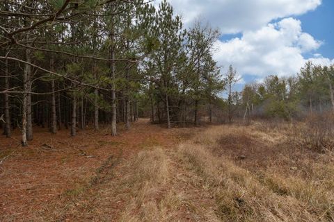 Tiny photo for 1035 Beaver Avenue, Nekoosa, WI 54457 (MLS # 1990031)