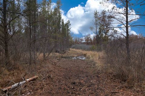 Tiny photo for 1035 Beaver Avenue, Nekoosa, WI 54457 (MLS # 1990031)