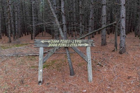 Tiny photo for 1035 Beaver Avenue, Nekoosa, WI 54457 (MLS # 1990031)