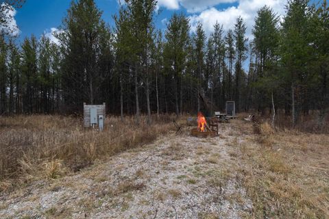 Tiny photo for 1035 Beaver Avenue, Nekoosa, WI 54457 (MLS # 1990031)