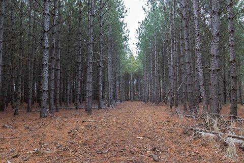 Tiny photo for 1035 Beaver Avenue, Nekoosa, WI 54457 (MLS # 1990031)
