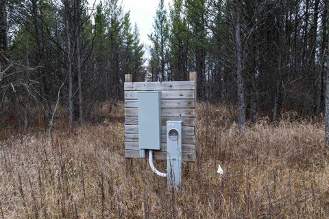 Tiny photo for 1035 Beaver Avenue, Nekoosa, WI 54457 (MLS # 1990031)