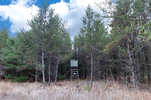 Tiny photo for 1035 Beaver Avenue, Nekoosa, WI 54457 (MLS # 1990031)