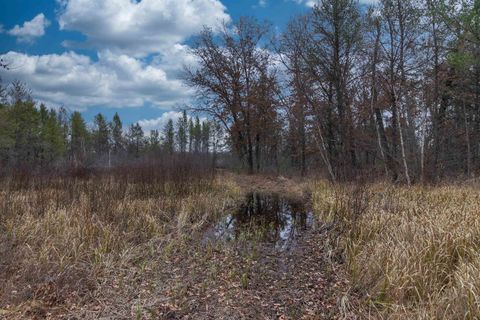 Tiny photo for 1035 Beaver Avenue, Nekoosa, WI 54457 (MLS # 1990031)