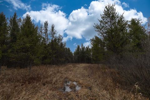 Tiny photo for 1035 Beaver Avenue, Nekoosa, WI 54457 (MLS # 1990031)
