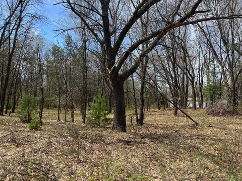 Tiny photo for L38 S Duck Creek Avenue, Friendship, WI 53934 (MLS # 1976110)