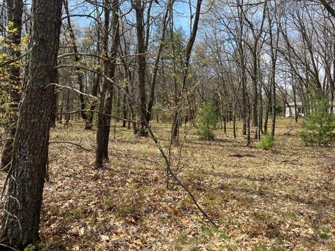 Tiny photo for L38 S Duck Creek Avenue, Friendship, WI 53934 (MLS # 1976110)