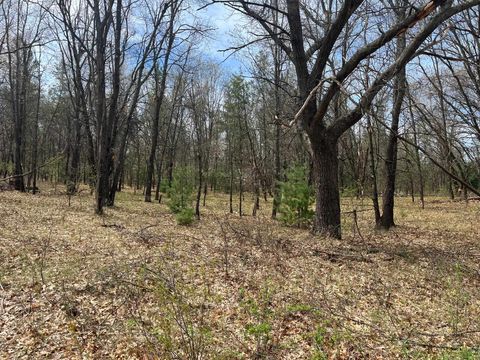 Photo of L38 S Duck Creek Avenue, Friendship, WI 53934 (MLS # 1976110) Photo of L38 S Duck Creek Avenue, Friendship, WI 53934 (MLS # 1976110)