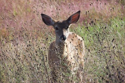 Tiny photo for 803, 805 Marlboro Court, Nekoosa, WI 54457 (MLS # 2005850)
