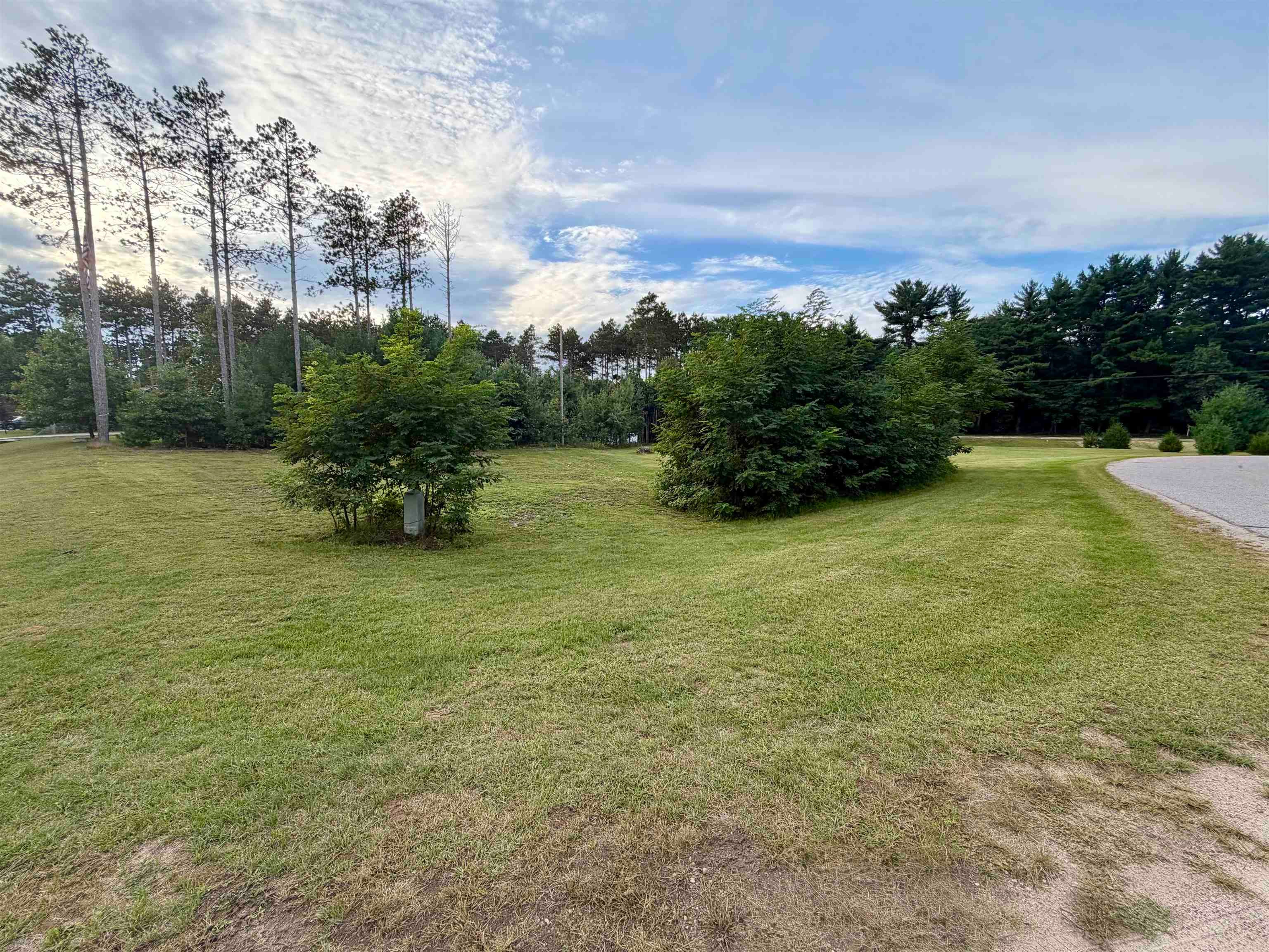Lot 38 Red Pine