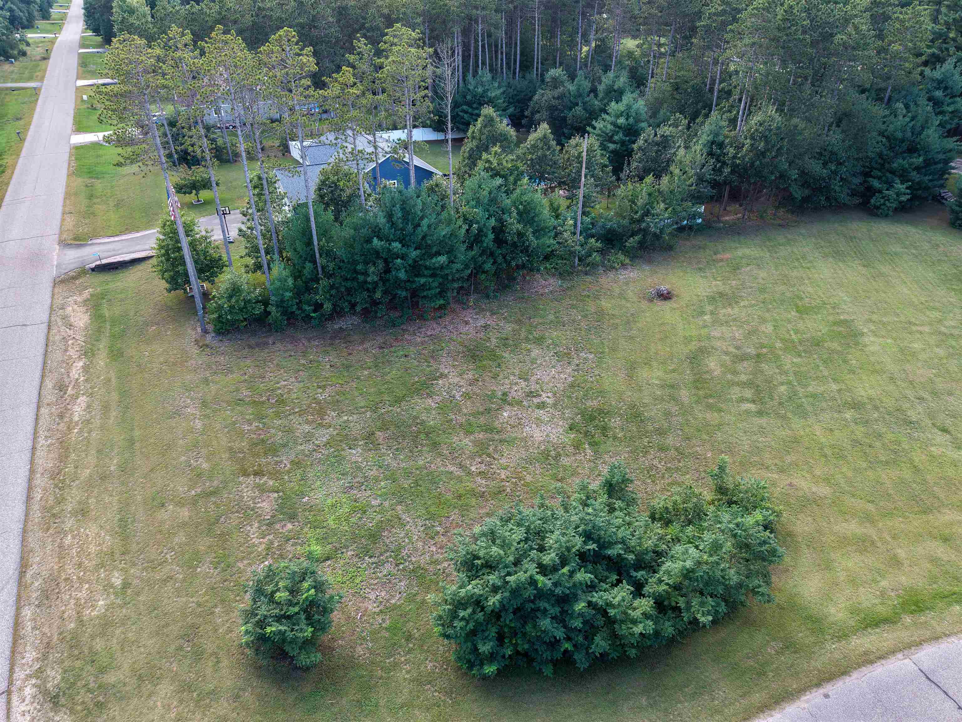 Lot 38 Red Pine