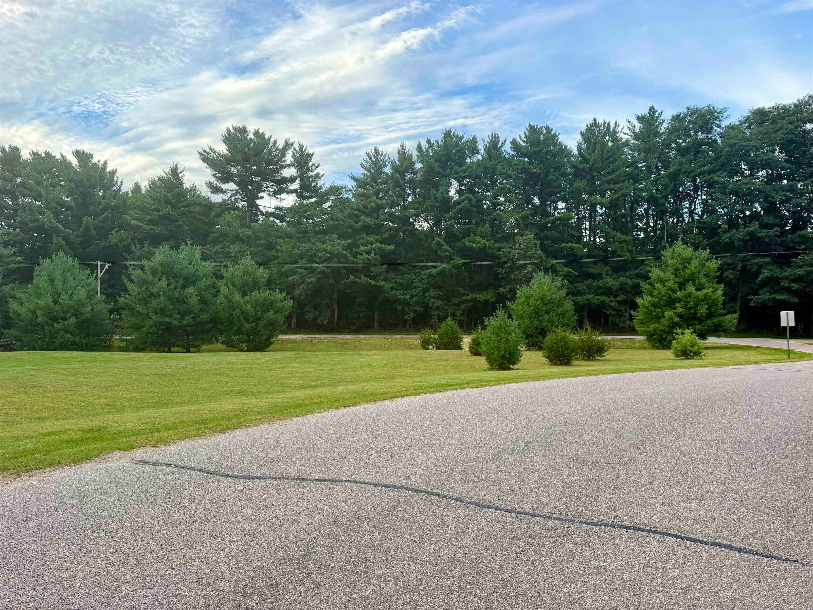 Lot 38 Red Pine