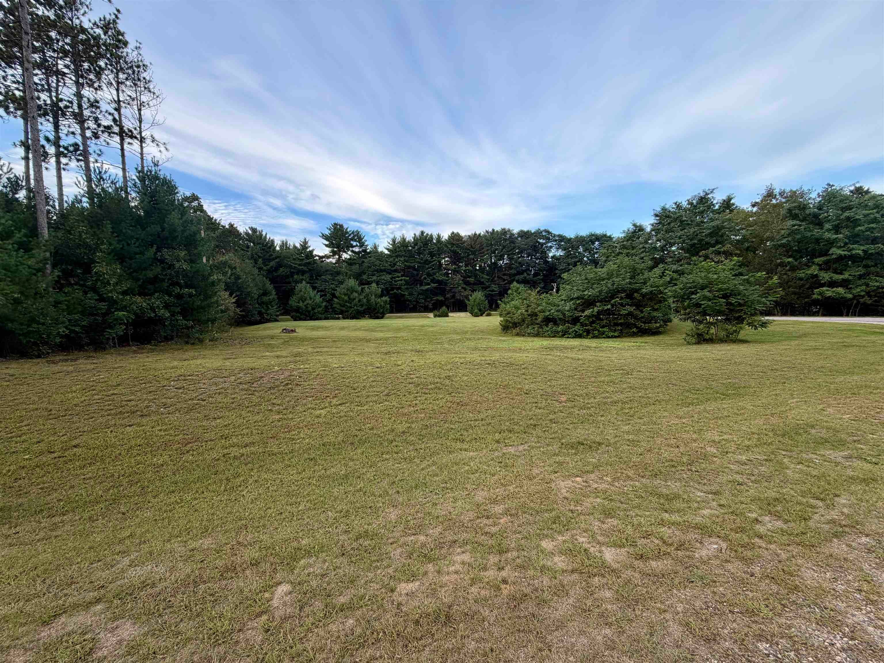 Lot 38 Red Pine