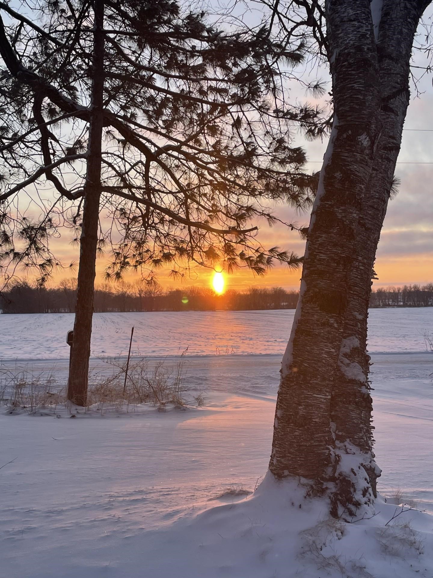 Stoughton, Wisconsin 53589, United States, 1 Bedroom Bedrooms, ,1 BathroomBathrooms,Residential,Active,175460