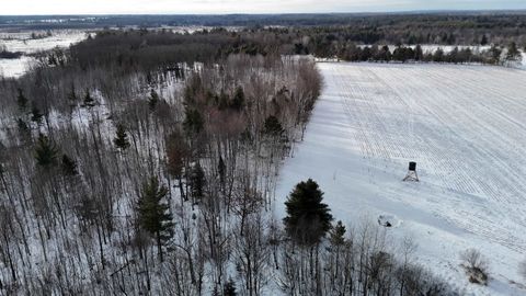 Photo of 4400 N Deer Lane, Mosinee, WI 54455 (MLS # 2014869)