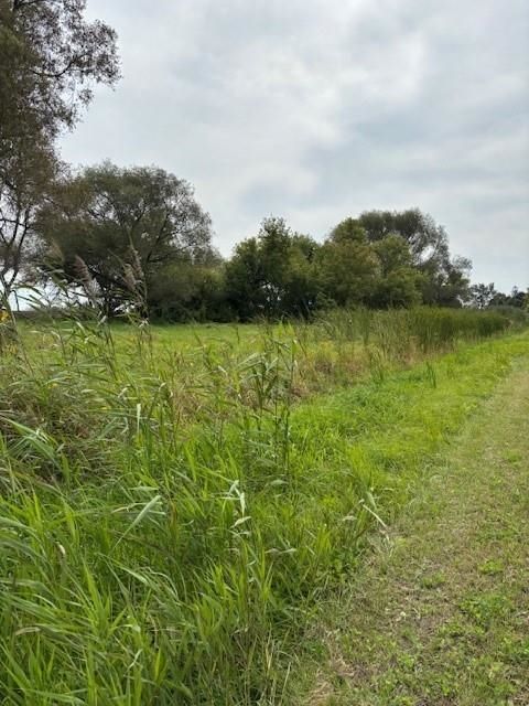 Tiny photo for 310 Sportsman Road, Pickett, WI 54964 (MLS # 2008634)