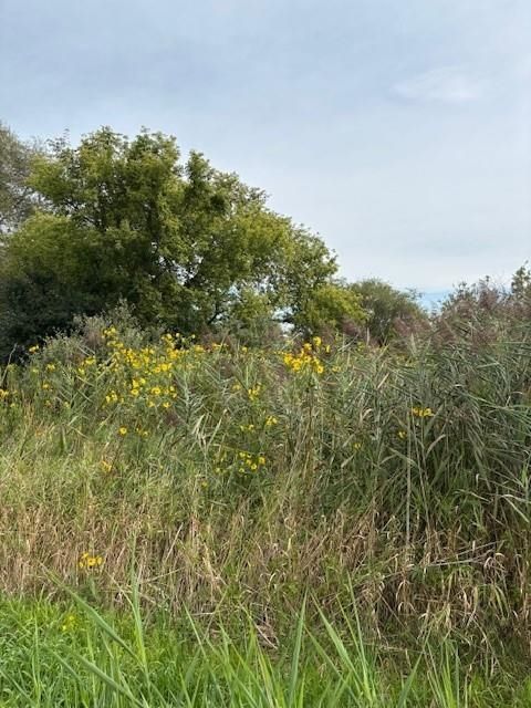 Tiny photo for 310 Sportsman Road, Pickett, WI 54964 (MLS # 2008634)