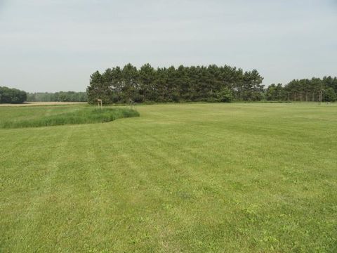 Tiny photo for N5275 County Road NN, Pine River, WI 54965 (MLS # 2001636)