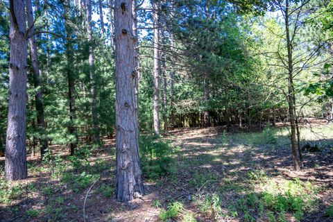 Tiny photo for 3631 W 11th Court, Wisconsin Dells, WI 53965 (MLS # 2005064)