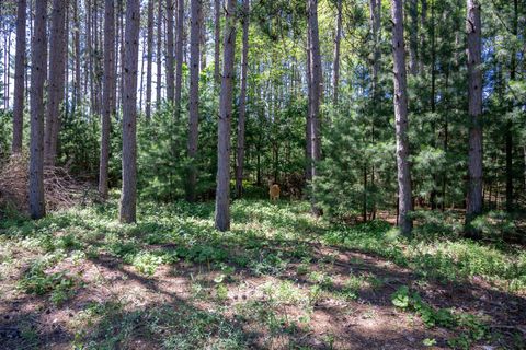 Tiny photo for 3631 W 11th Court, Wisconsin Dells, WI 53965 (MLS # 2005064)