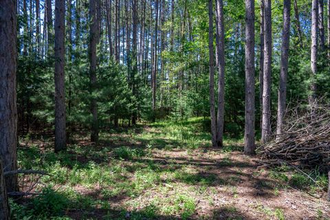 Tiny photo for 3631 W 11th Court, Wisconsin Dells, WI 53965 (MLS # 2005064)