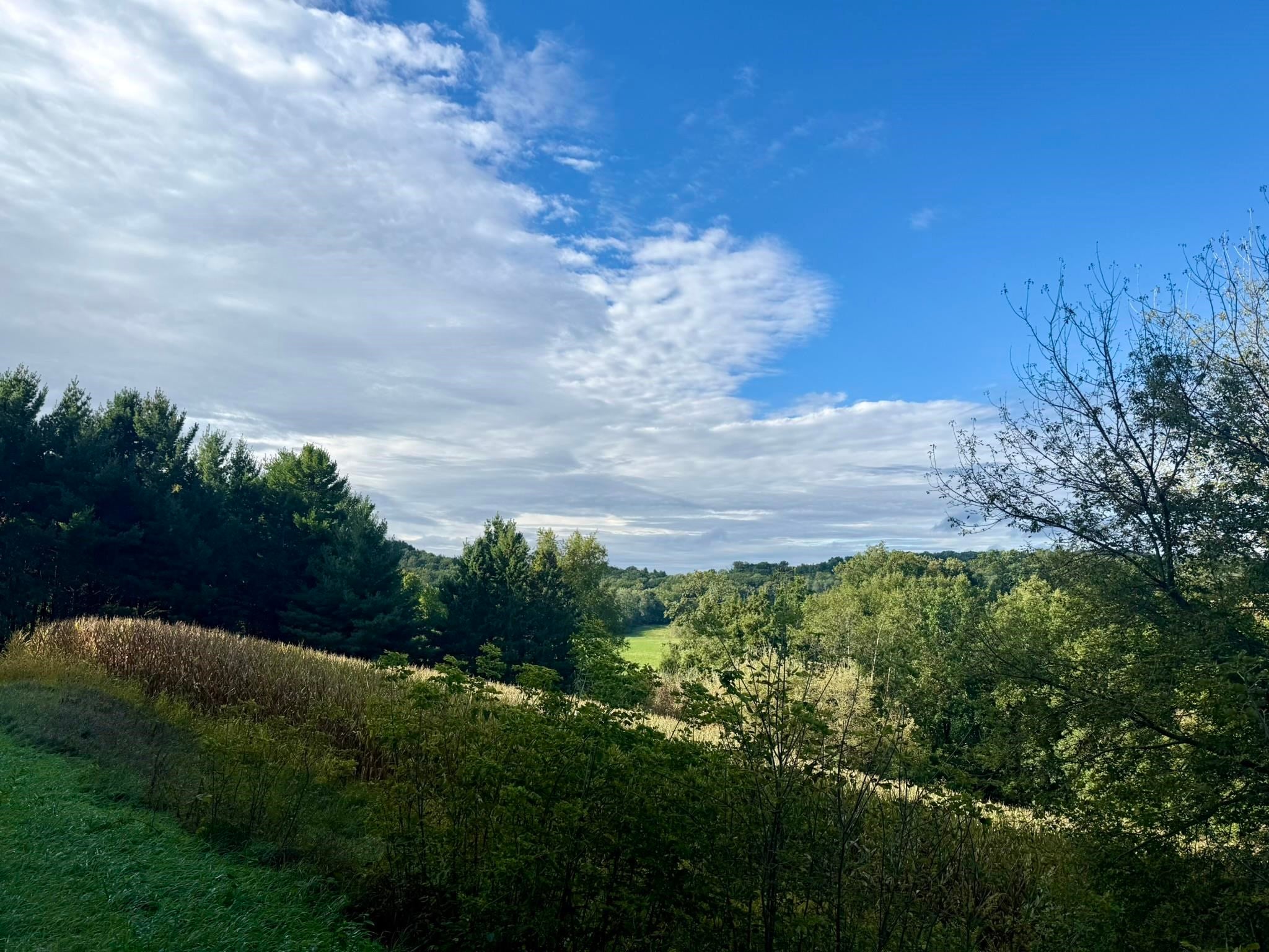 15 Acres Ozone Road
