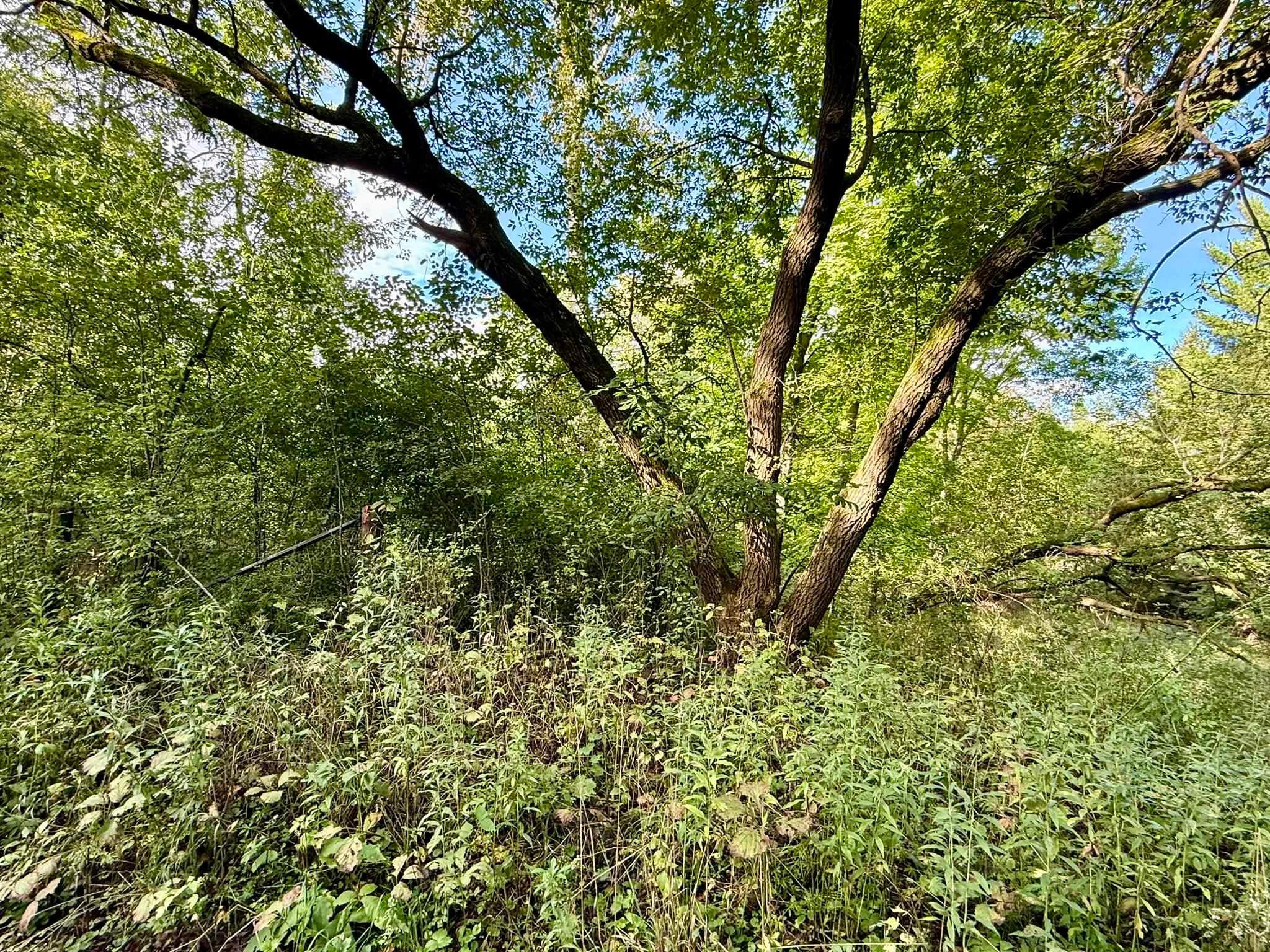 15 Acres Ozone Road