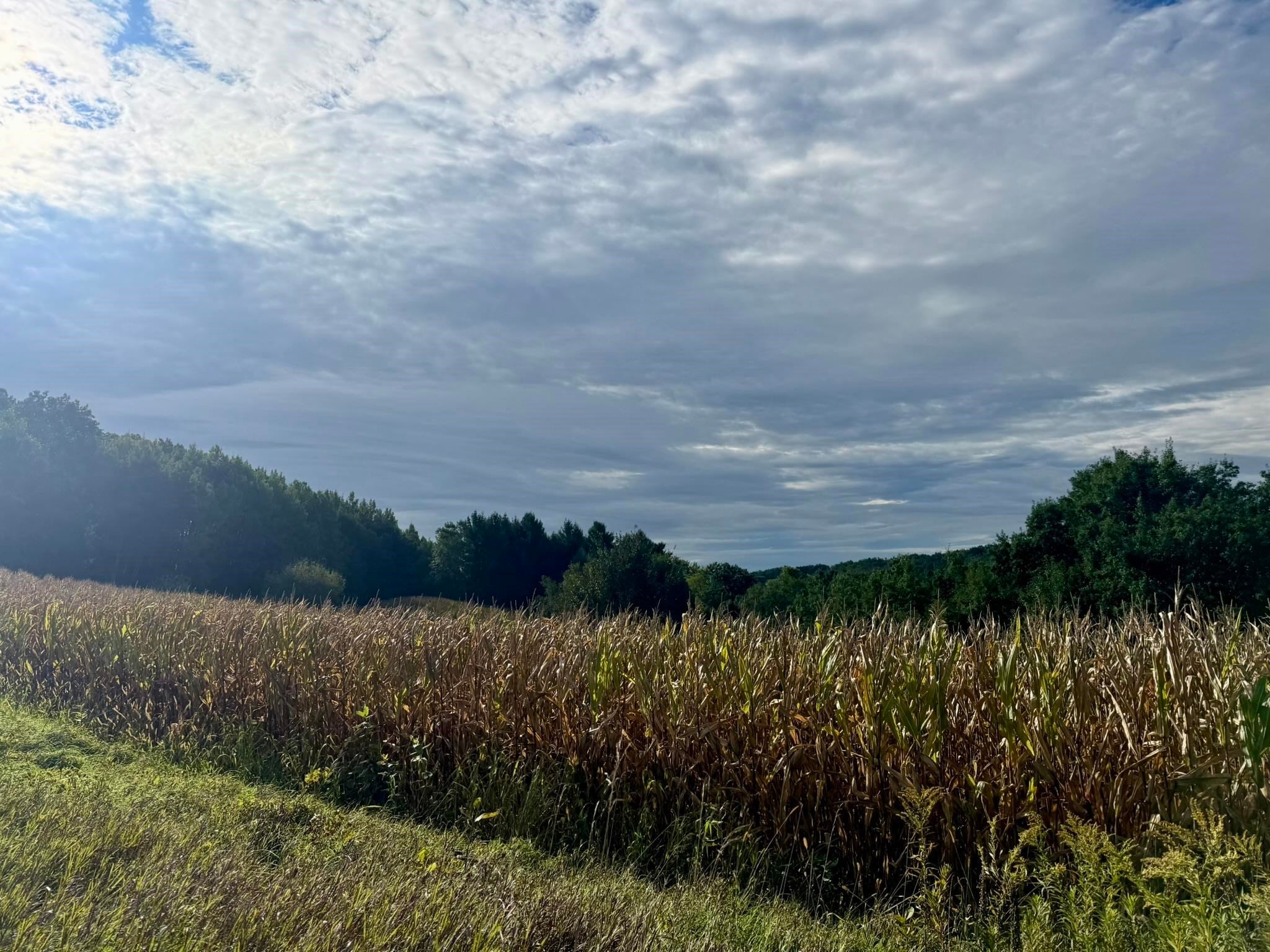 15 Acres Ozone Road