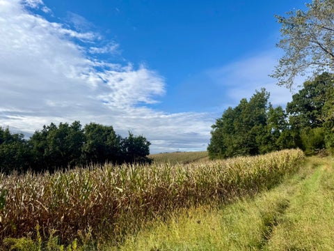Photo of 15 Acres Ozone Road, Elroy, WI 53929 (MLS # 2033212)
