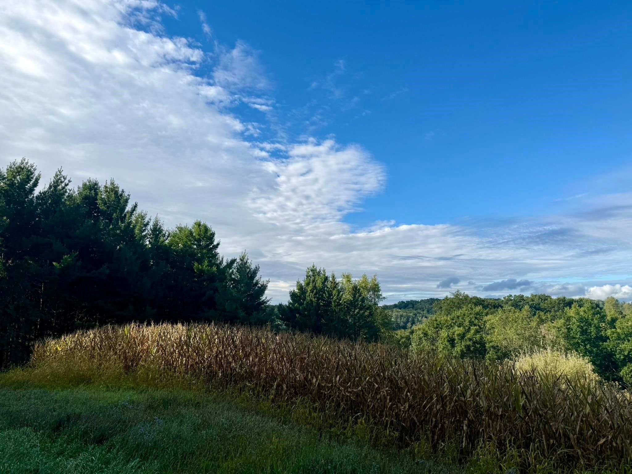 15 Acres Ozone Road