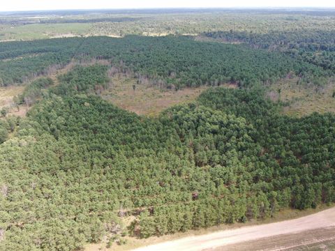Tiny photo for 80 AC 16th Ave Acres, Arkdale, WI 54613 (MLS # 2009956)