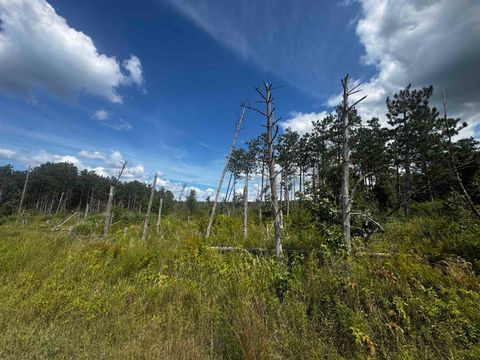 Tiny photo for 80 AC 16th Ave Acres, Arkdale, WI 54613 (MLS # 2009956)