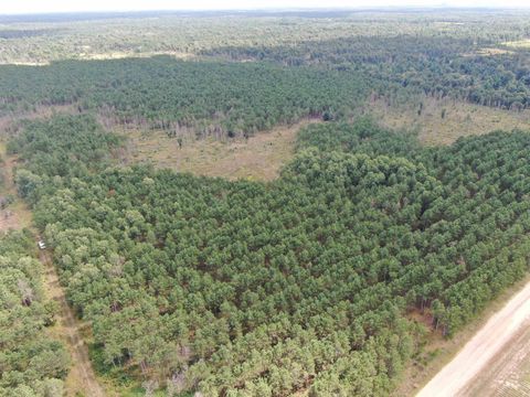 Tiny photo for 80 AC 16th Ave Acres, Arkdale, WI 54613 (MLS # 2009956)