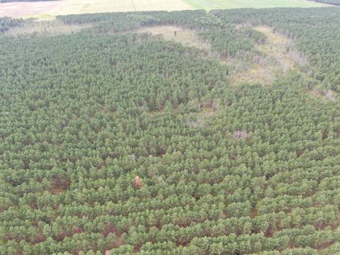Tiny photo for 80 AC 16th Ave Acres, Arkdale, WI 54613 (MLS # 2009956)