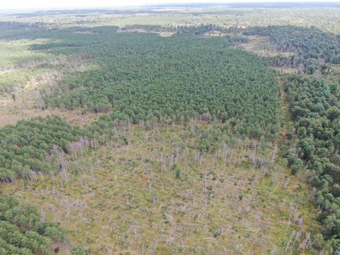 Tiny photo for 80 AC 16th Ave Acres, Arkdale, WI 54613 (MLS # 2009956)
