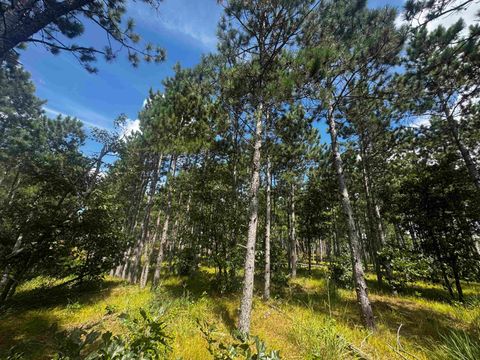 Tiny photo for 80 AC 16th Ave Acres, Arkdale, WI 54613 (MLS # 2009956)