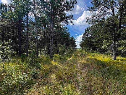Tiny photo for 80 AC 16th Ave Acres, Arkdale, WI 54613 (MLS # 2009956)