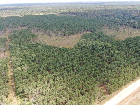 Photo of 80 AC 16th Ave Acres, Arkdale, WI 54613 (MLS # 2009956)