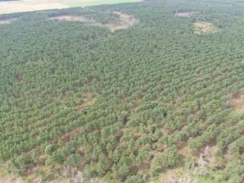 Tiny photo for 80 AC 16th Ave Acres, Arkdale, WI 54613 (MLS # 2009956)
