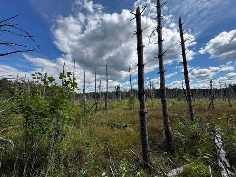Tiny photo for 80 AC 16th Ave Acres, Arkdale, WI 54613 (MLS # 2009956)
