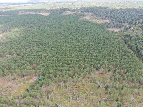 Tiny photo for 80 AC 16th Ave Acres, Arkdale, WI 54613 (MLS # 2009956)