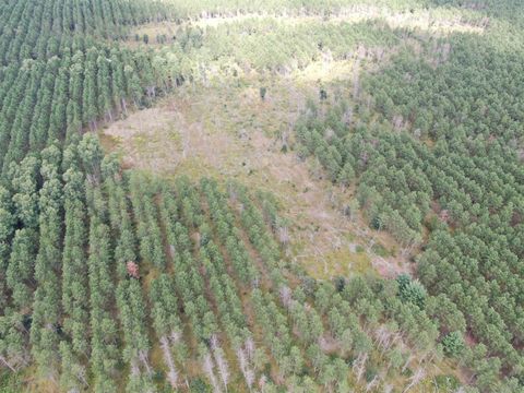 Tiny photo for 80 AC 16th Ave Acres, Arkdale, WI 54613 (MLS # 2009956)