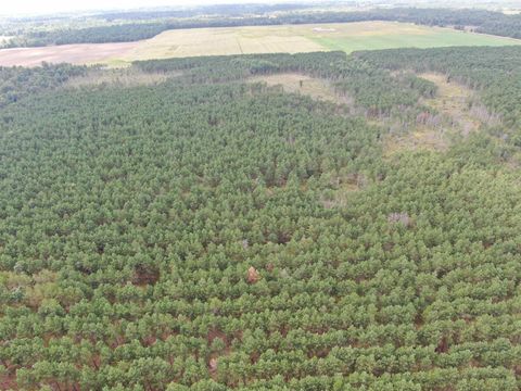 Tiny photo for 80 AC 16th Ave Acres, Arkdale, WI 54613 (MLS # 2009956)