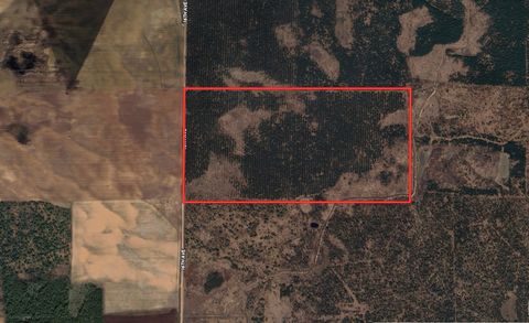 Tiny photo for 80 AC 16th Ave Acres, Arkdale, WI 54613 (MLS # 2009956)